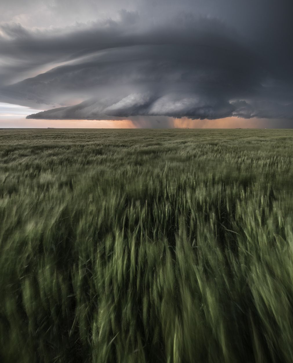 Supercell Thunderstorm, Leoti, Kansas